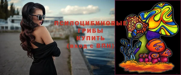 винт Козловка
