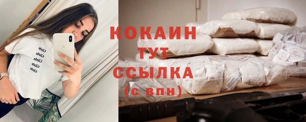 mdpv Кодинск