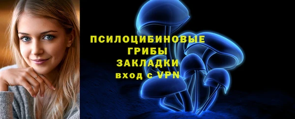 герыч Козельск