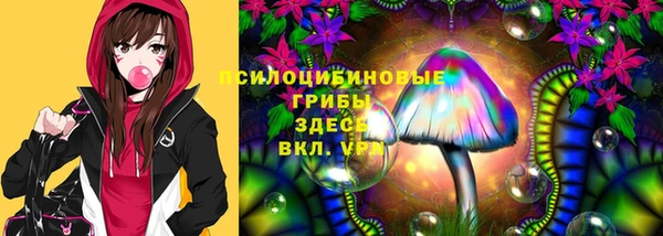 винт Козловка