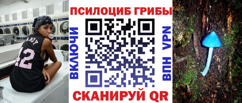 Псилоцибиновые грибы Psilocybe  Купить где  Данков 