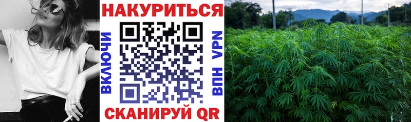 Шишки марихуана гибрид  Купить  Данков 